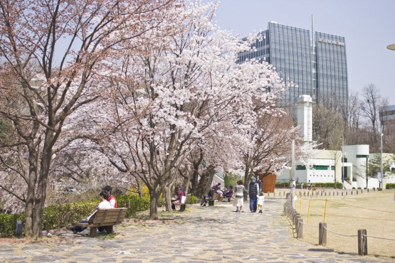 Seoul, Hàn Quốc