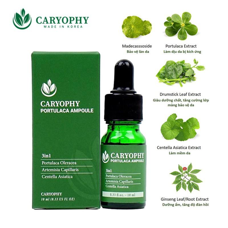 Serum rau má giảm mụn mờ thâm Caryophy Portulaca Ampoule