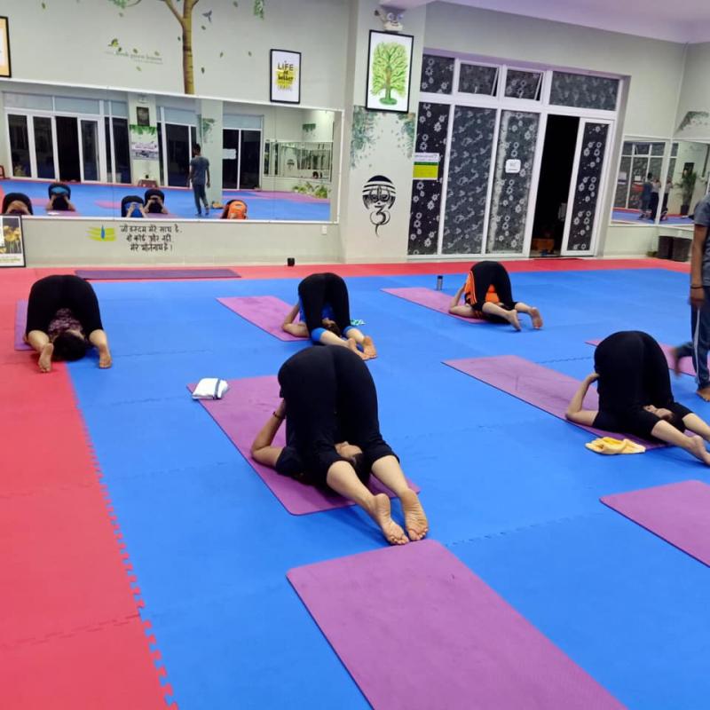 Shadow Yoga & Dance