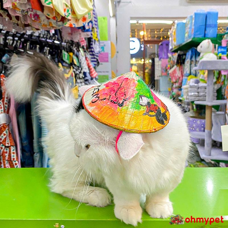 Shop bán phụ kiện cho thú cưng Oh My Pet