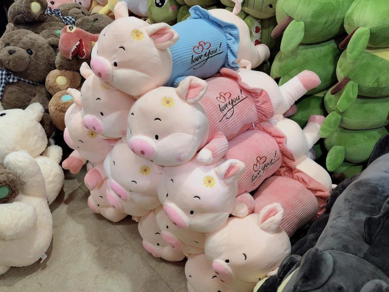 Shop gấu 37