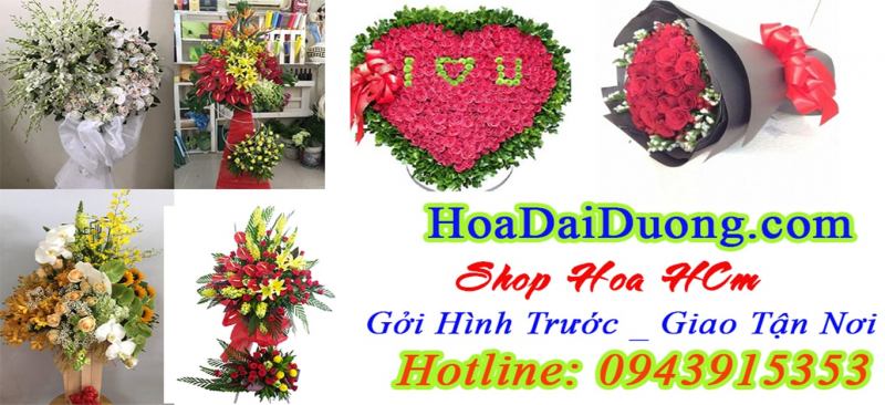 Shop Hoa Đại Dương