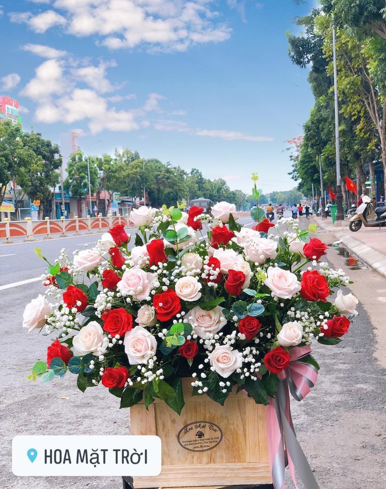 Shop Hoa Mặt Trời