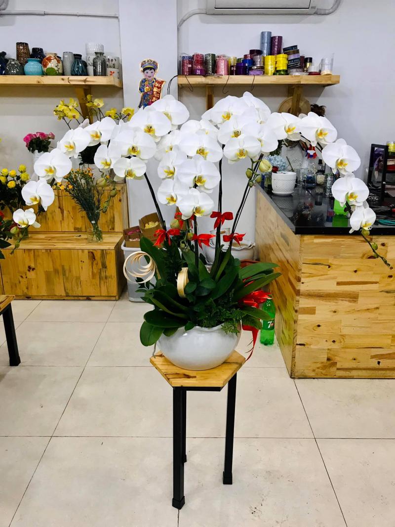 Shop Hoa Tin Yêu