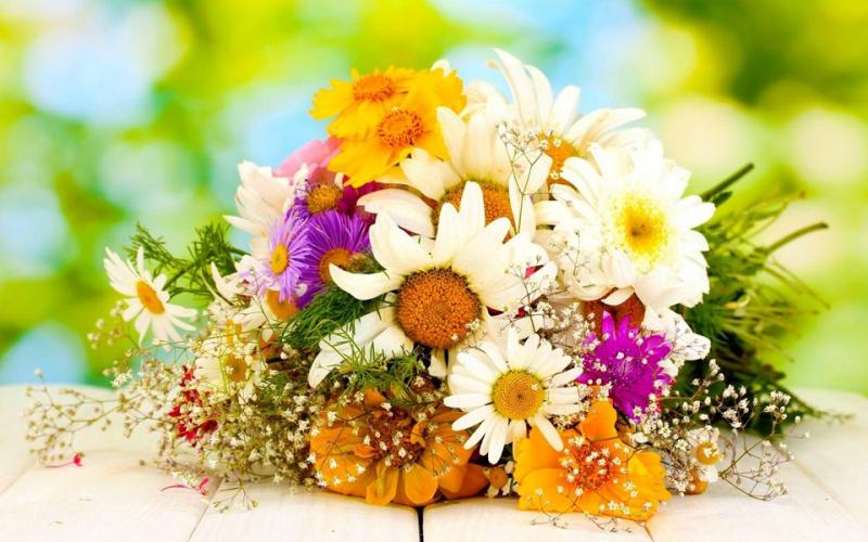 Hoa tươi luôn là món quà tinh thần hoàn hảo nhất dành tặng mẹ chồng