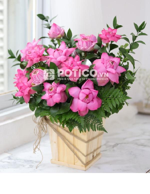 Shop Hoa Tươi & Quà tặng trực tuyến Potico.vn - Từ FlowerStore.vn