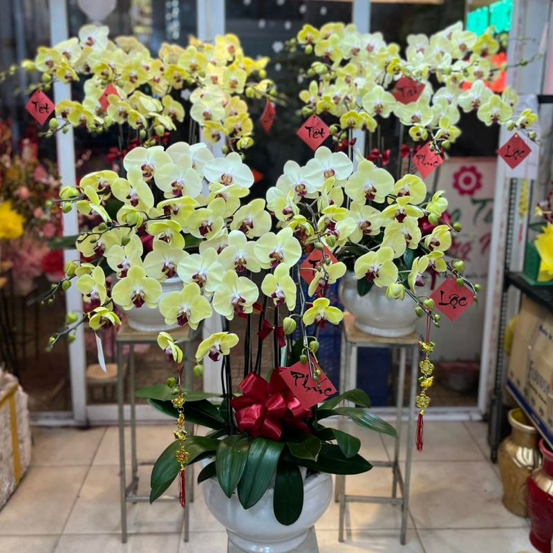 Shop Hoa Tươi SG