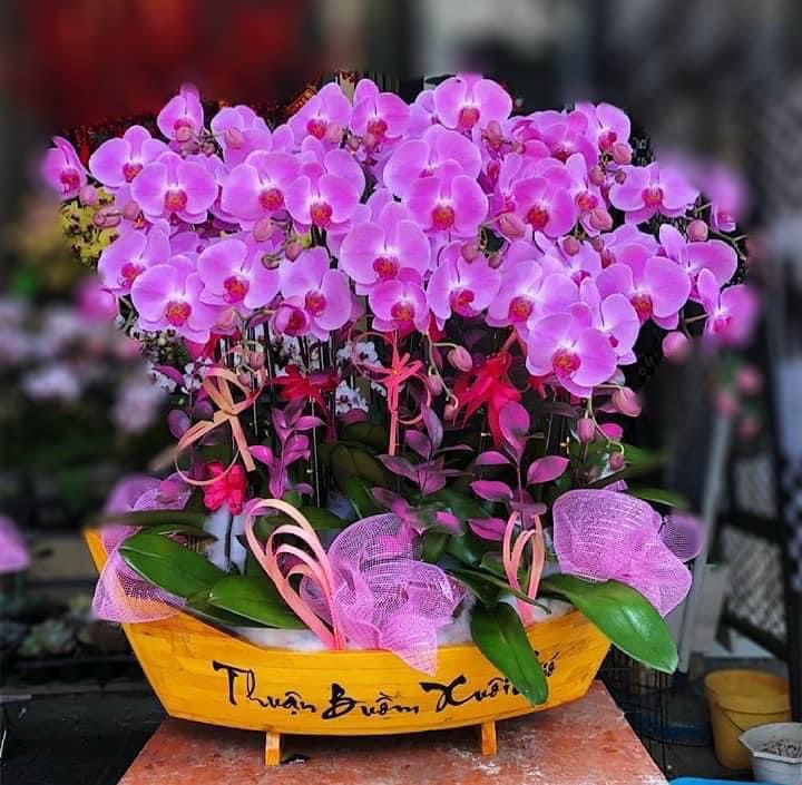 Shop hoa tươi Thúy Hà