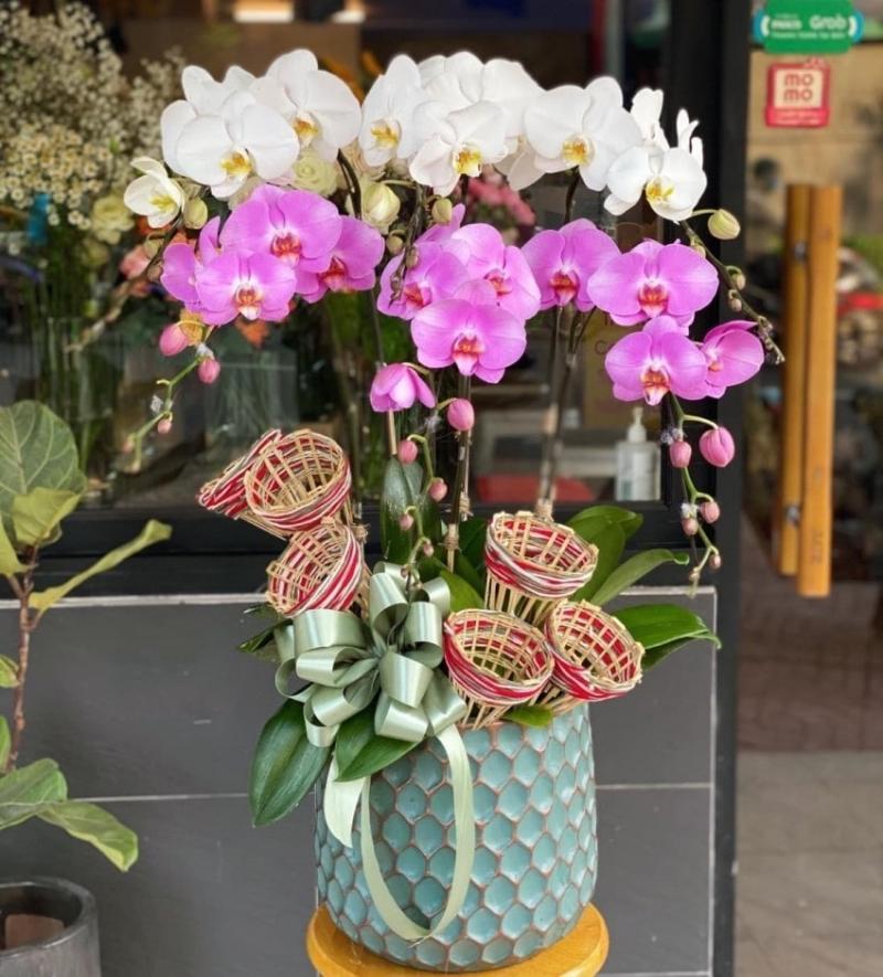Shop Thế Giới Cây Và Hoa