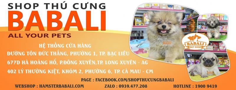 Hệ thống cửa hàng của Shop thú cưng Babali