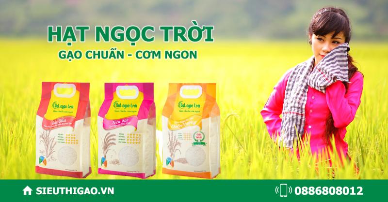 Siêu Thị Gạo
