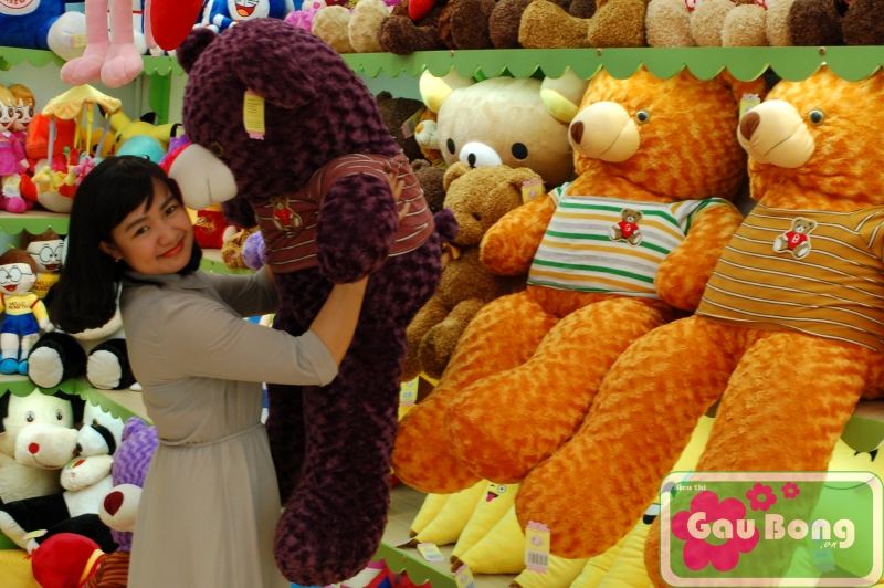 Shop Gấu Bông Teddy
