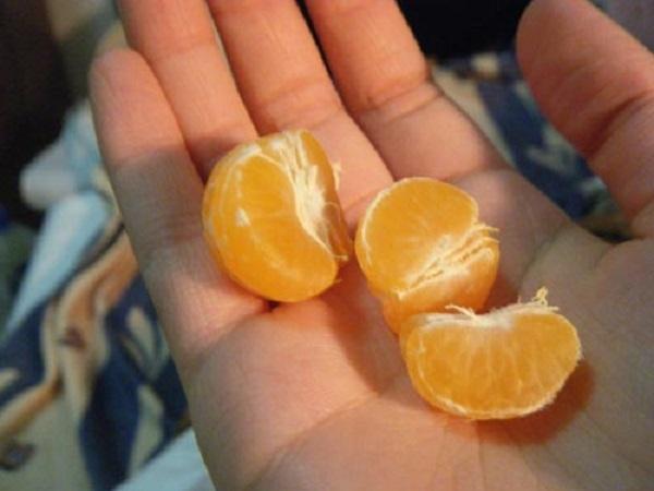 Quả quýt một món quà may mắn trong dịp Tết