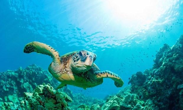 Sipadan