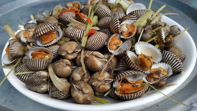 Sò huyết gây độc