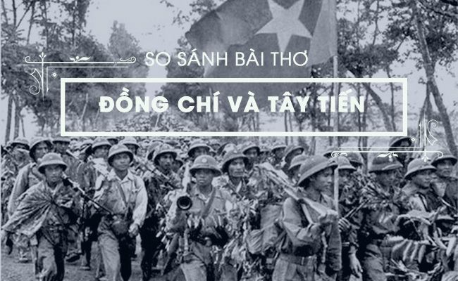 Bài tham khảo số 5