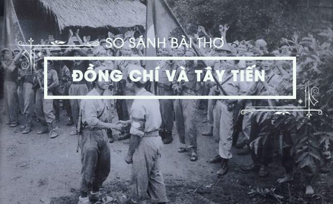 Bài tham khảo số 7