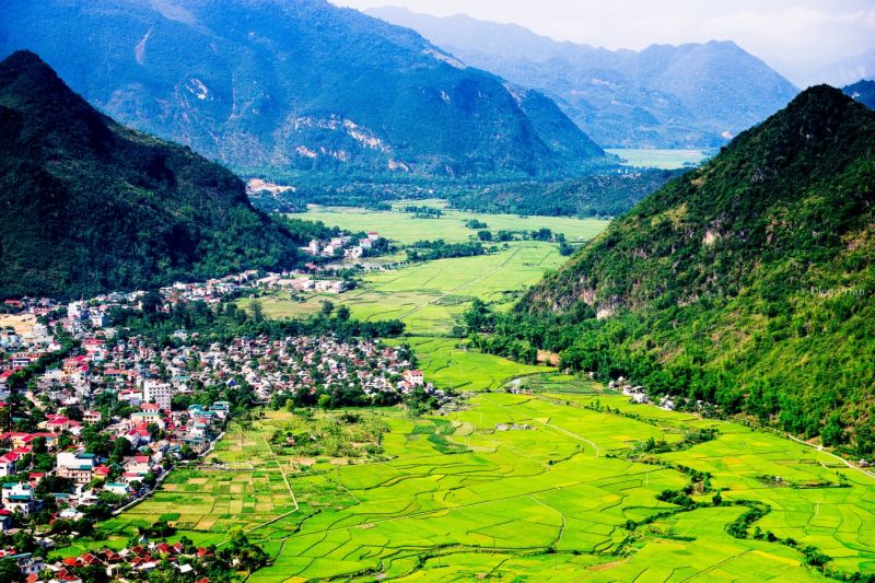 Bài tham khảo số 7