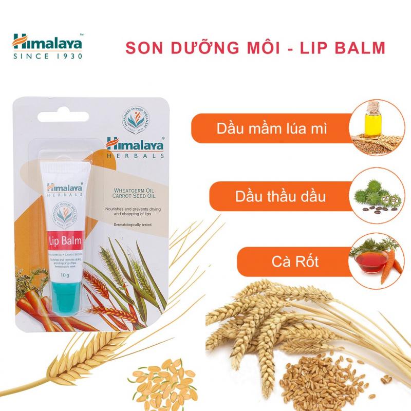 Son dưỡng Himalaya Lip Balm trị thâm