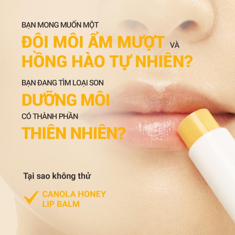 Son dưỡng môi innisfree Canola Honey Lip Balm
