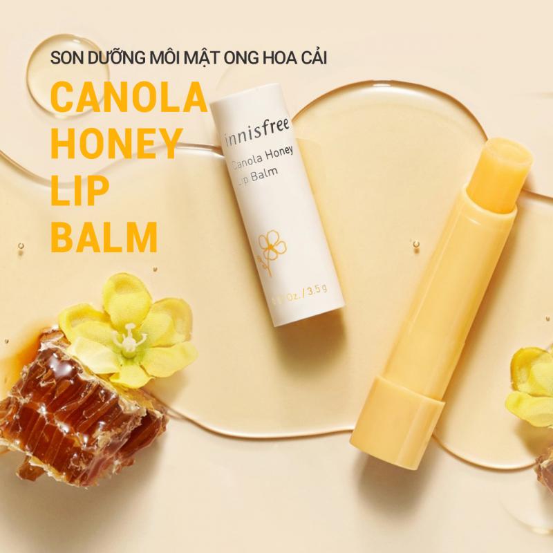 Son dưỡng môi innisfree Canola Honey Lip Balm