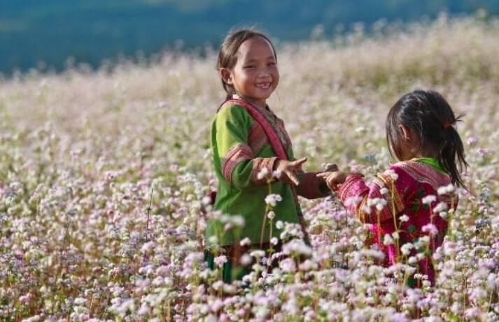 Bạn biết đến Sơn La cũng là điểm đến thú vị ngắm tam giác mạch hay chưa?