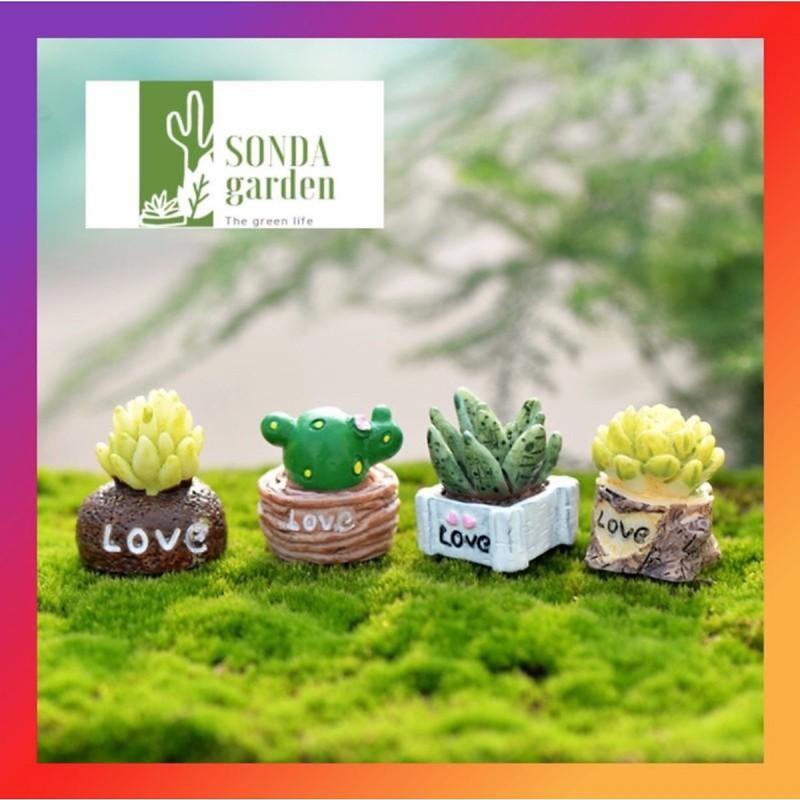 Sonda Garden