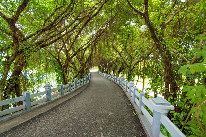 Sông Hồng Resort