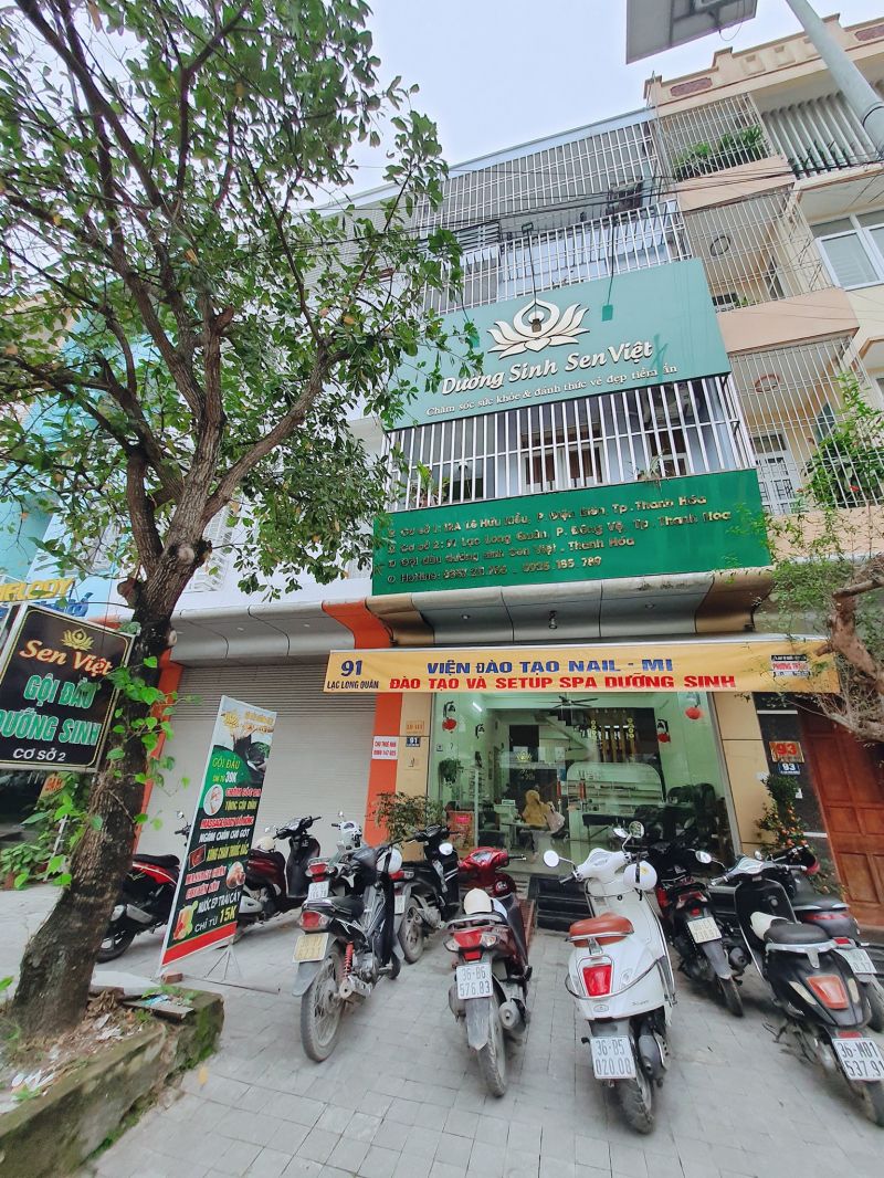 Dưỡng Sinh Sen Việt