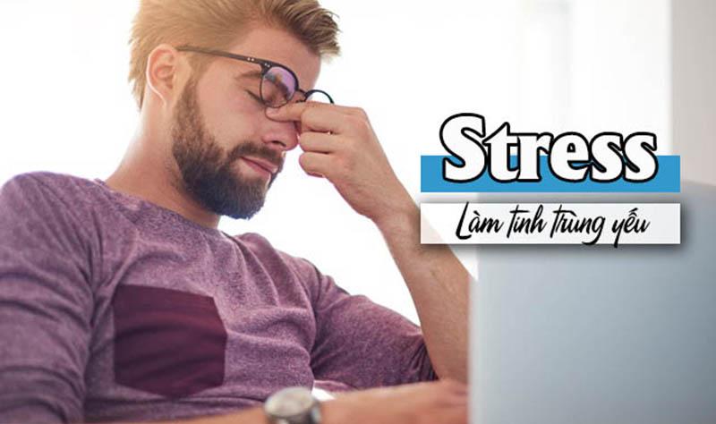 Stress thường xuyên khiến tinh trùng yếu