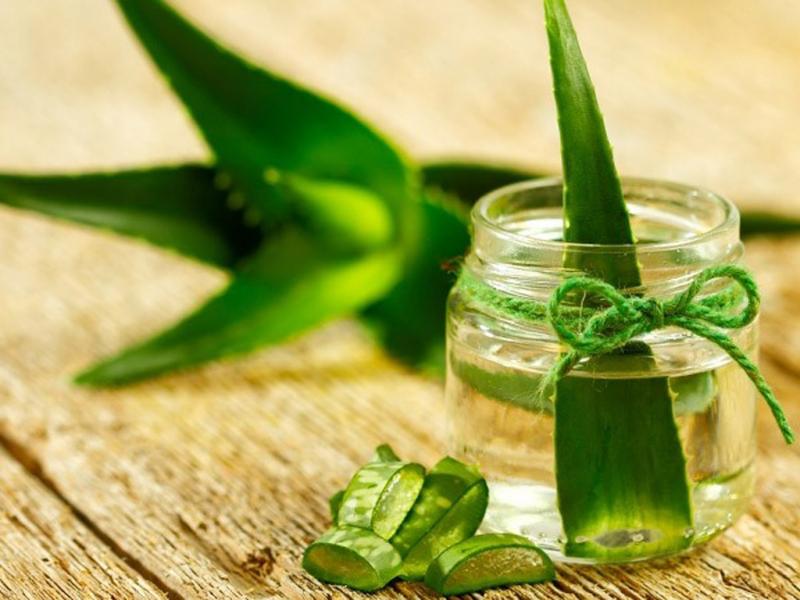 Đối với các bà bầu bị ngứa, nhất là ở vùng bụng thì đây chính là lựa chọn an toàn và hiệu quả.