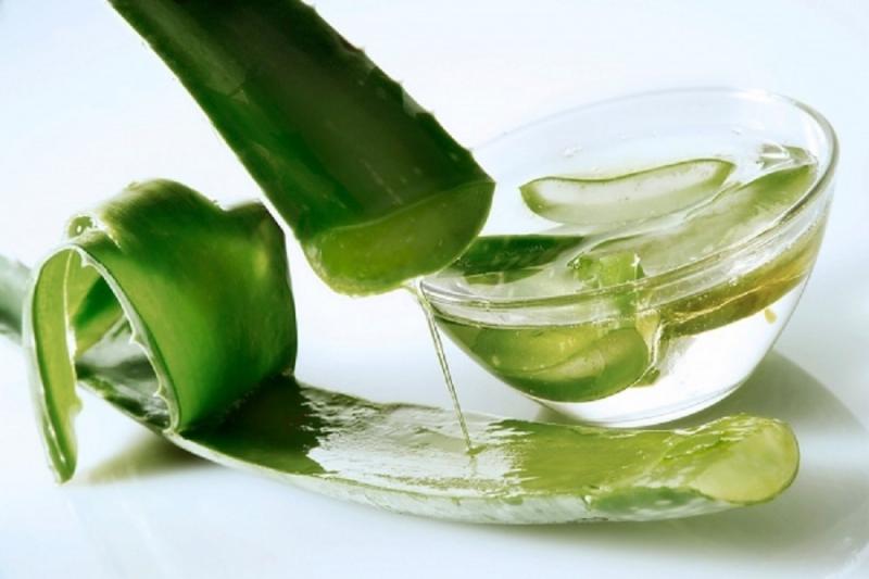 Có thể sử dụng ngay lô hội tươi để làm mát trực tiếp da mặt