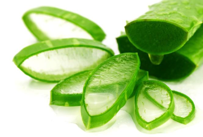 Sử dụng nha đam nguyên chất