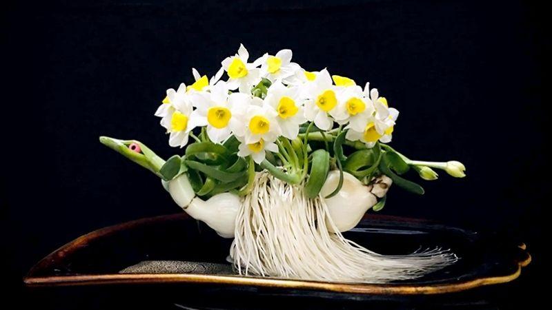 Hoa thuỷ tiên