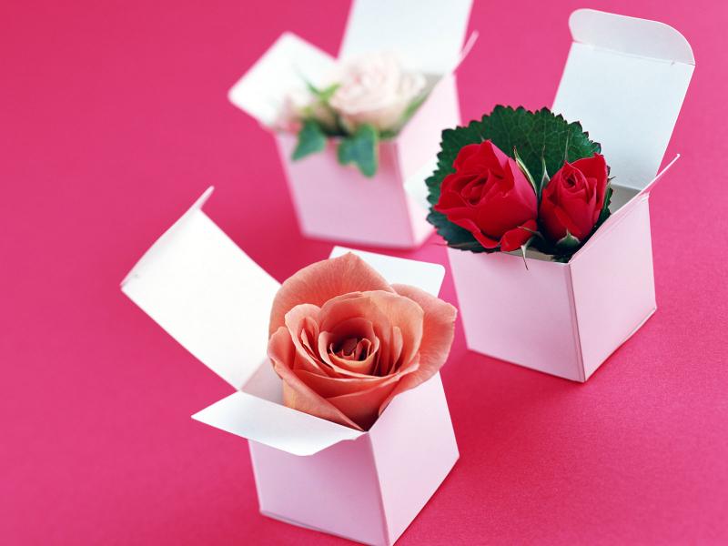 Sự trả thù ngọt ngào nhân ngày 20-10