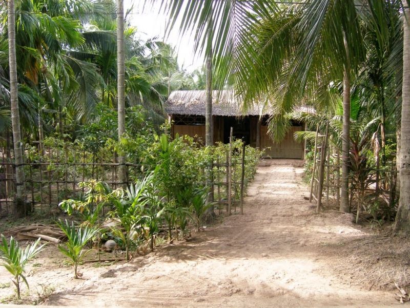 Lúc thất tình Sư Tử thường về với chốn thôn quê