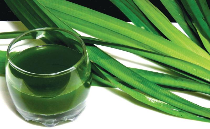 Kết hợp lá dứa cùng sữa mè đen phù hợp với trẻ em
