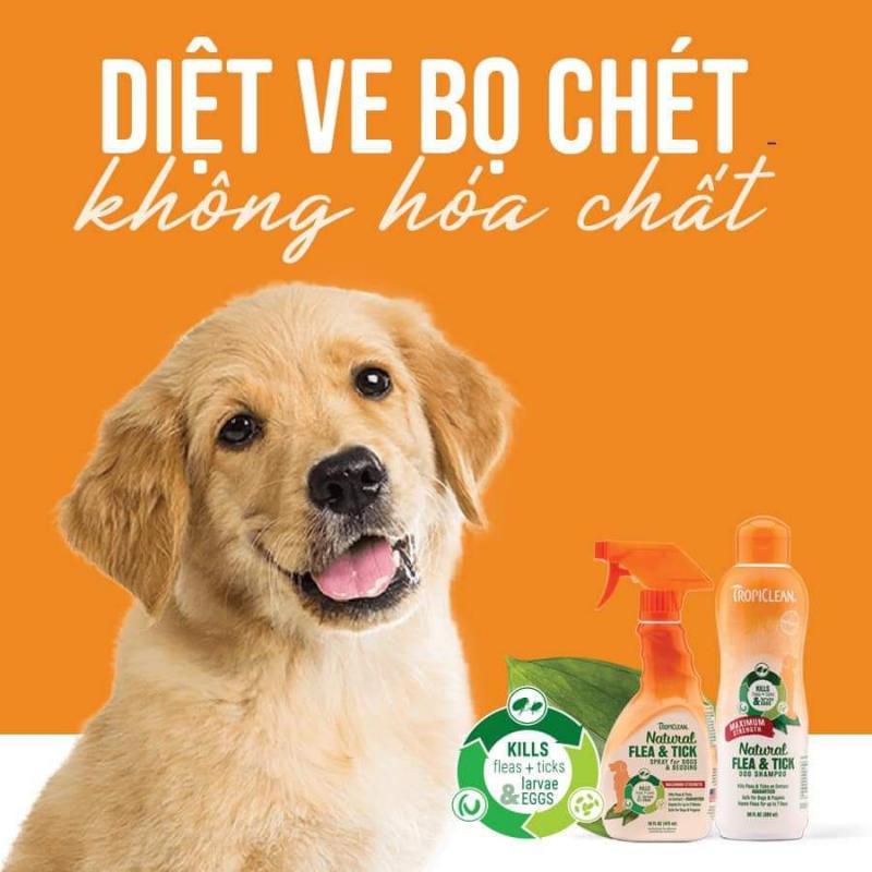 Sữa tắm cho chó trị ve Flea & Tick ShamPoo