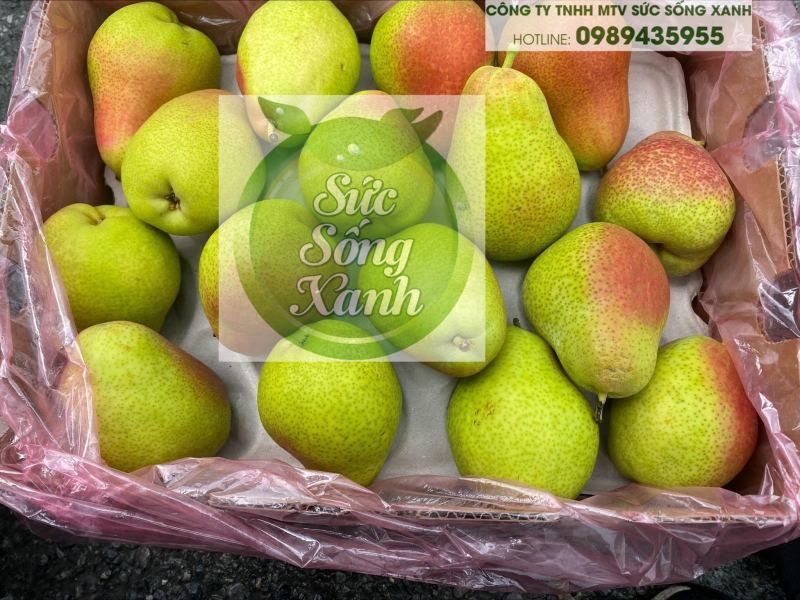 Sức Sống Xanh