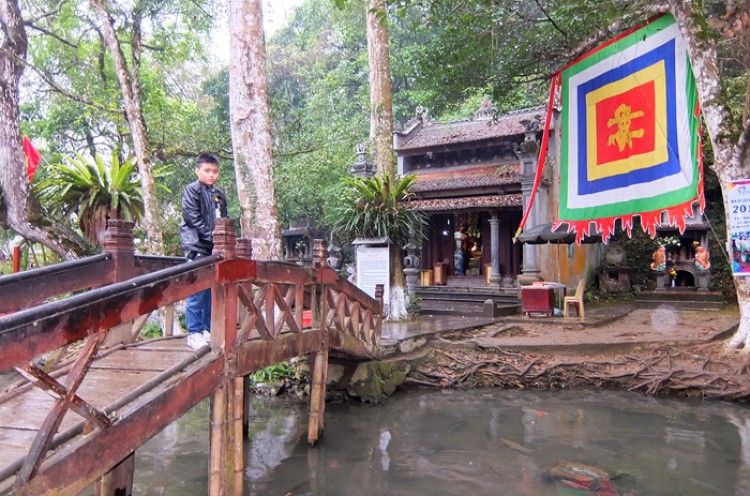 Suối cá thần Cẩm Lương