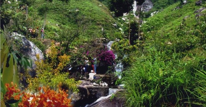 Nhiều loài hoa mang hương thơm ở suối Hoa