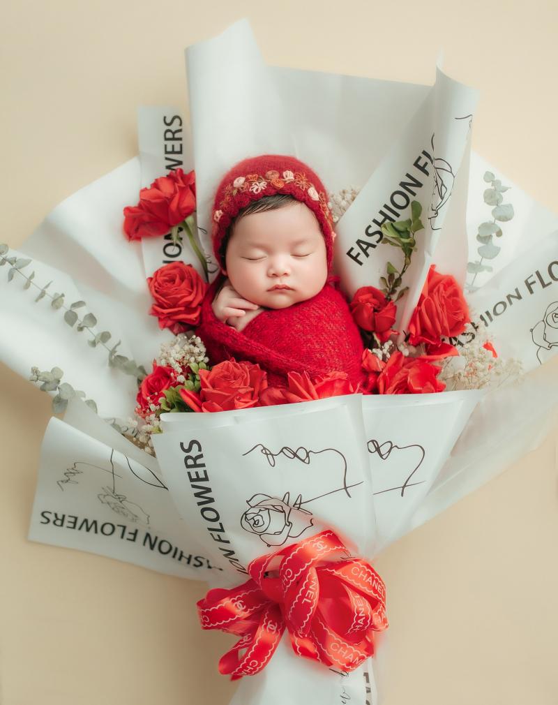 Suri Studio