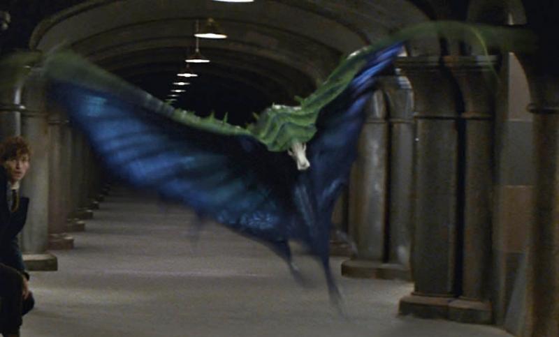 Swooping Evil