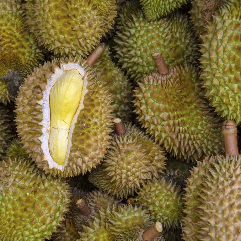 Tai nạn khi bạn đứng cạnh… cây sầu riêng