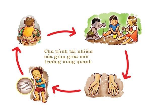 Tại sao phải tẩy giun?