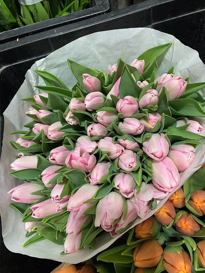 Talia Flowers