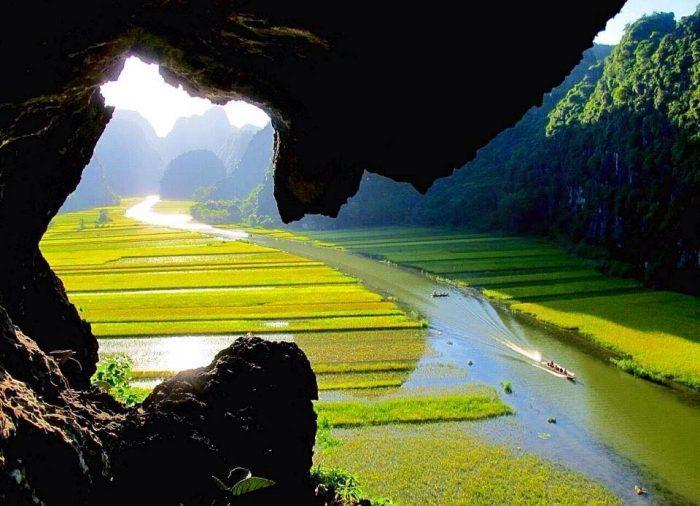 Cánh đồng lúa vàng óng trải dài giữa núi rừng hùng vĩ, tráng lệ