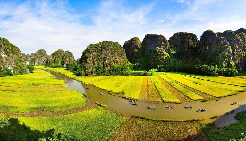 Giấc mơ dịu êm