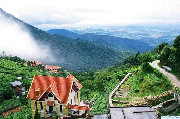 Tam Đảo