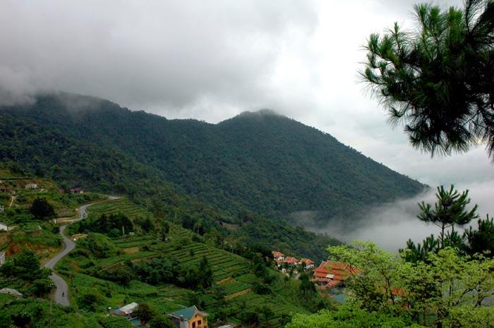 Tam Đảo - Vĩnh Phúc
